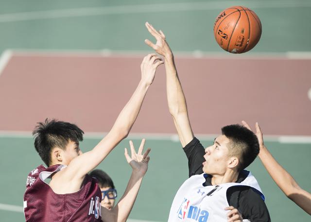 91网免费观看